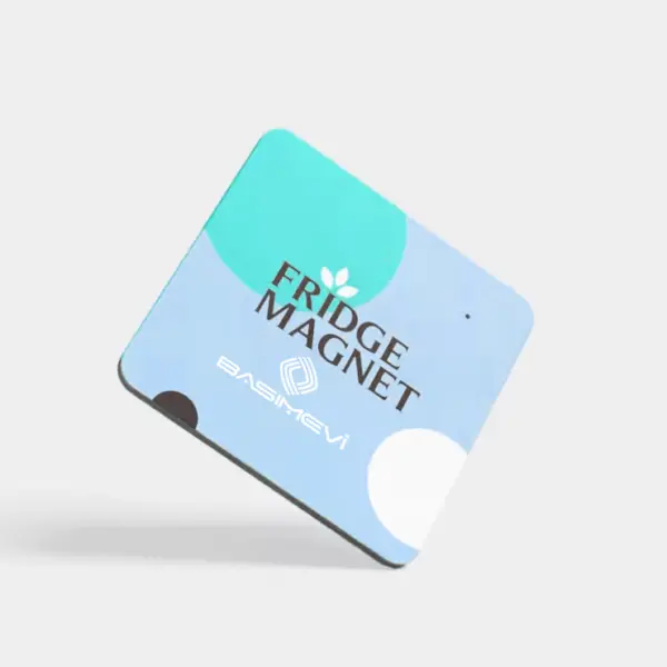 Magnet